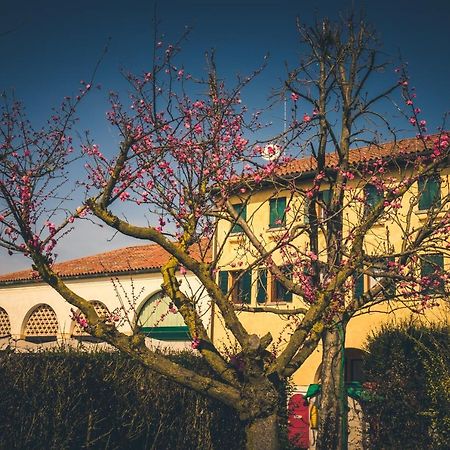 Le Vigne Morosina Villa Cessalto Buitenkant foto