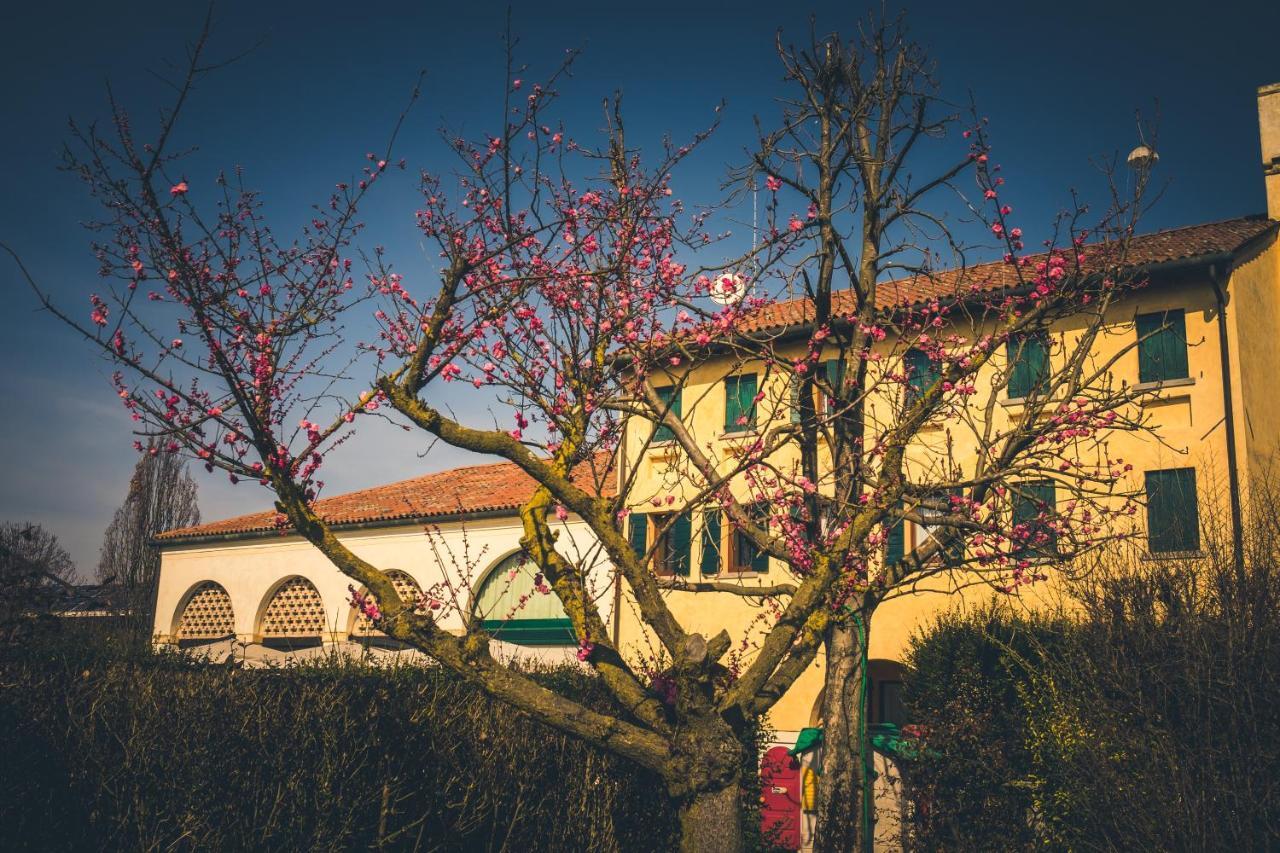 Le Vigne Morosina Villa Cessalto Buitenkant foto
